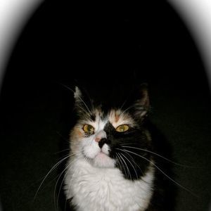 Meet your Posher, Judith